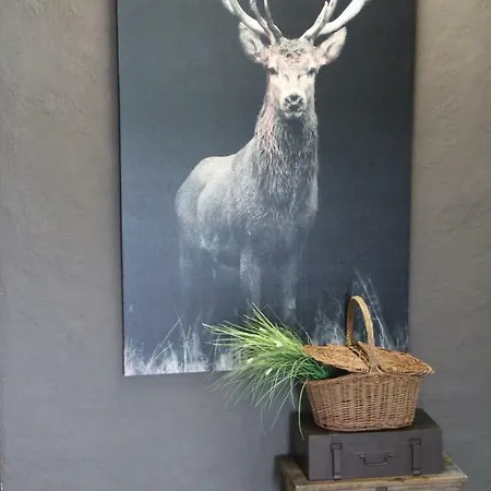 Frühstückspension La Ferme De Goronne